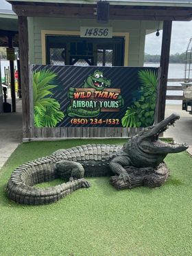 Things To Do Wild Thang Airboat Tours